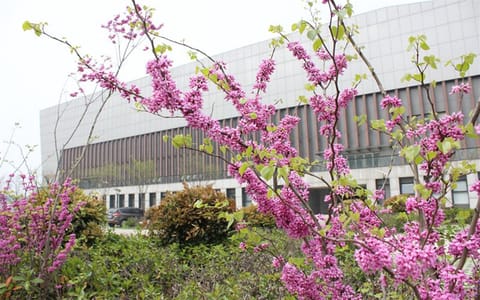 合肥大学·校园风光