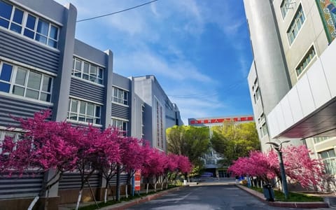 新疆艺术学院·校园风景2