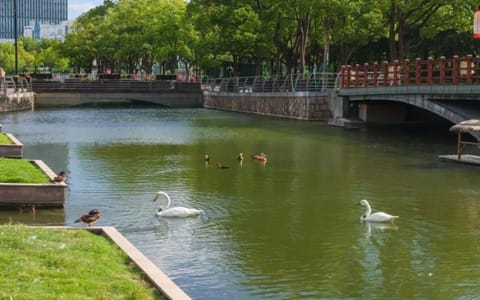 上海中医药大学·校园风光