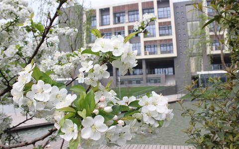 合肥大学·校园风光