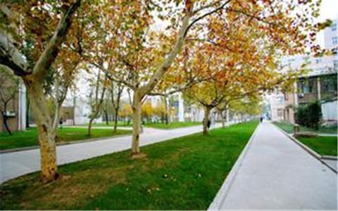 郑州轻工业大学·校园一角3