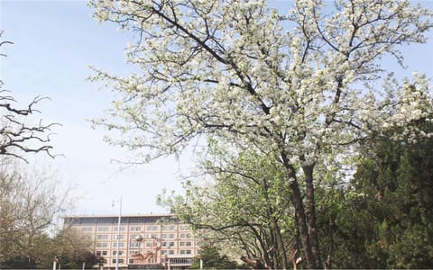 山东石油化工学院·校园风光1