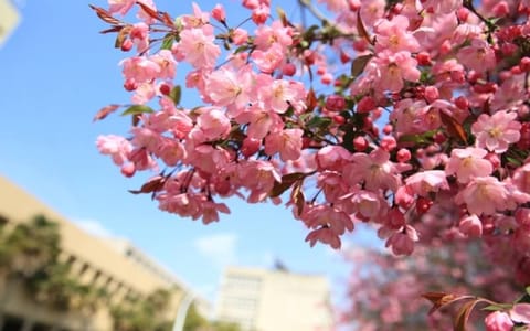 中国矿业大学徐海学院·校园风光