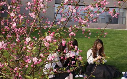 合肥大学·校园风光