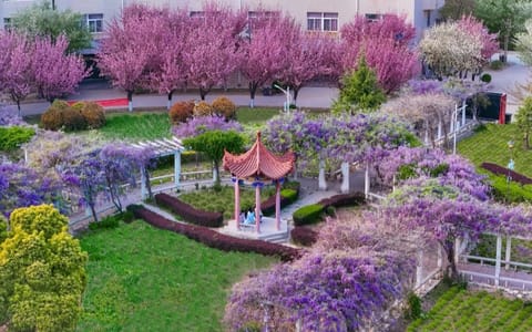 西安财经大学行知学院·校园风光