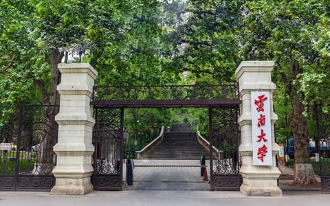 云南大学·校园风光