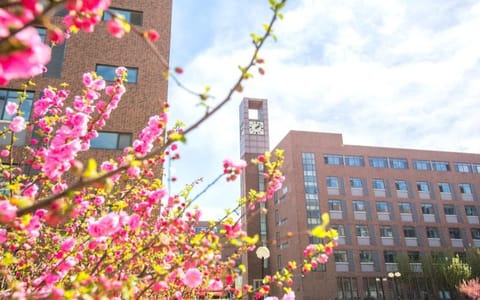 天津商业大学·校园风光2