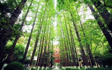 东华大学·校园风光