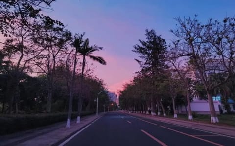 海南大学·彩霞