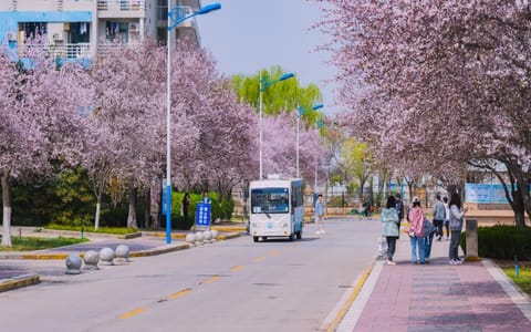 长安大学·校园风光