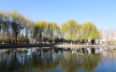 河北金融学院·校园风光18