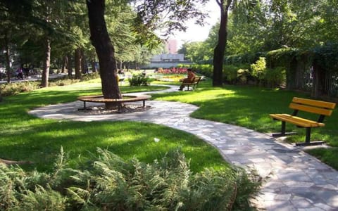 北京外国语大学·小花园