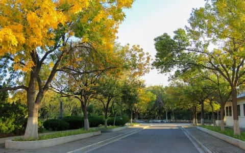 山东石油化工学院·校园风光