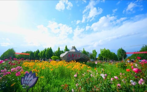 新疆理工学院·校园风景