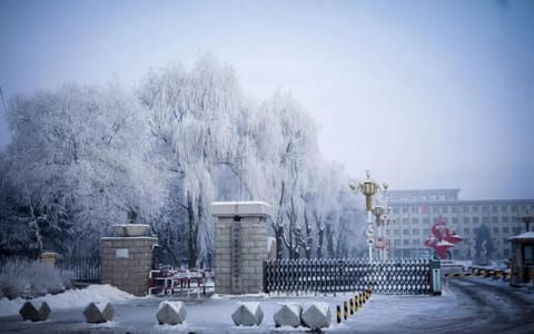 吉林农业科技学院·雪2