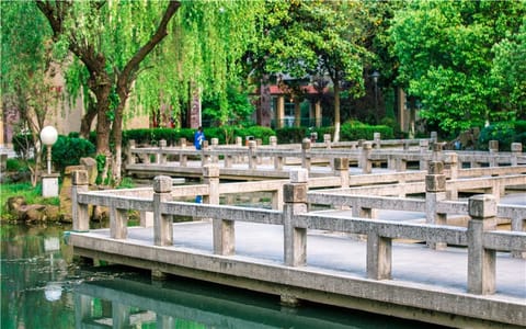 苏州科技大学·杨柳