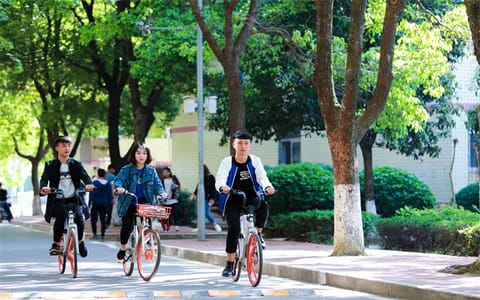 湖北商贸学院(武汉)▲·林荫大道