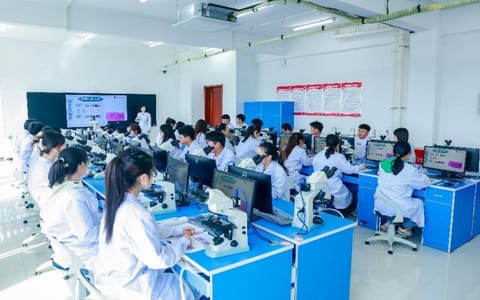 辽宁中医药大学·校园环境