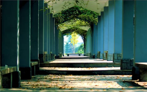 杭州电子科技大学·校园景色