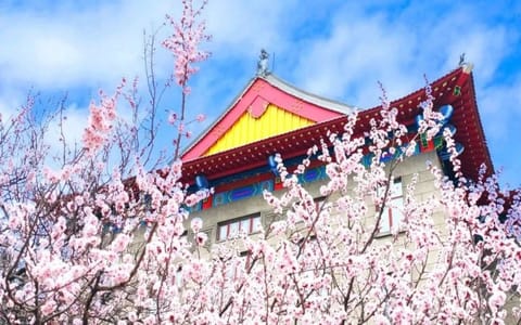 哈尔滨工程大学·校园风光