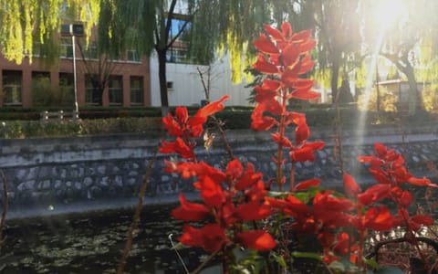 山西大学·山大花开
