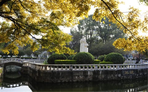 云南师范大学·丰收的背影