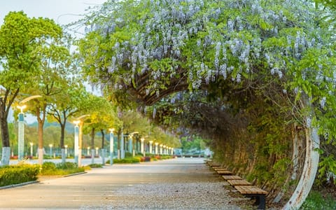 南京邮电大学·校园风光