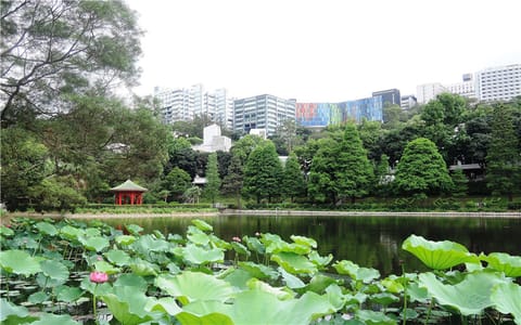 香港中文大学·校园风光