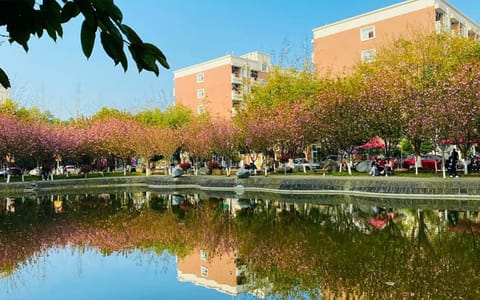 四川电影电视学院（成都）·校园风光