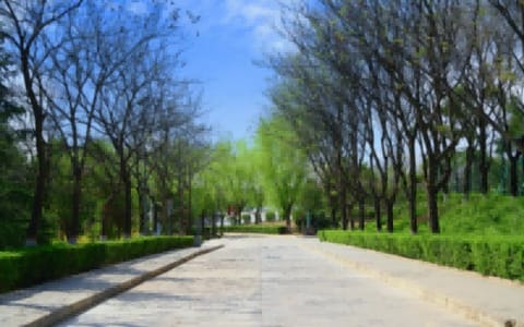 西安财经大学行知学院·校园风光