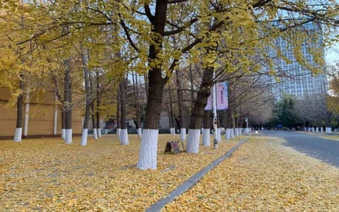 辽宁大学·校园风光