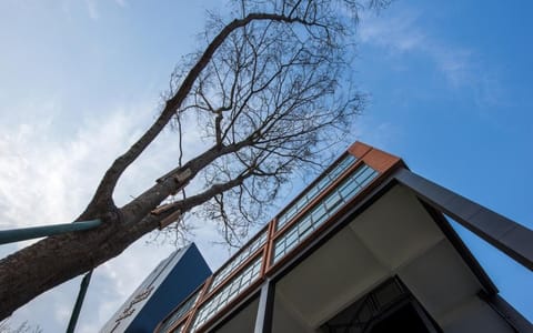 西南财经大学天府学院·校园风光