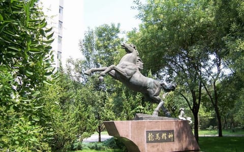 北京林业大学·龙马精神
