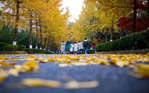 长江师范学院·校园一角9