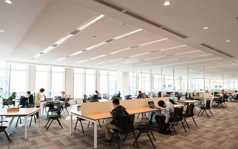 上海纽约大学·校园风光