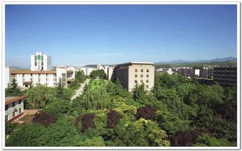 宝鸡文理学院·绿树成荫的校区
