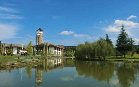 成都东软学院·校园风景10