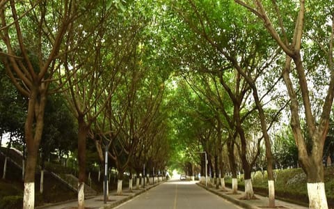 长江师范学院·校园一角16