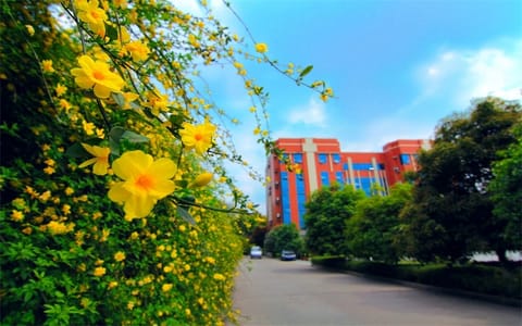 川北医学院·川北医学院3