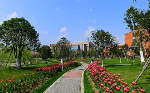 浙江工商大学杭州商学院·春满校园