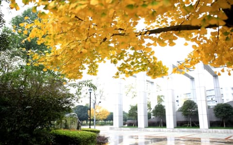 成都中医药大学·成都中医药大学3