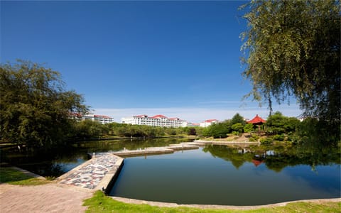 安徽文达信息工程学院·春景