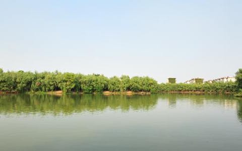 淮南师范学院·a499fcab-38d3-4811-b