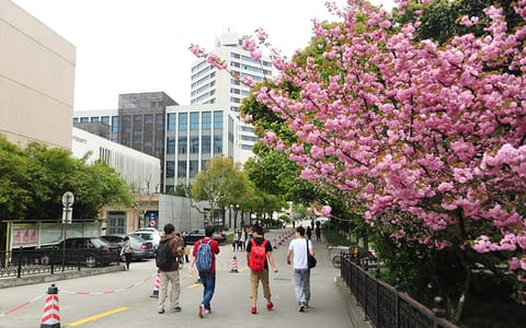 东华大学·校园风光5