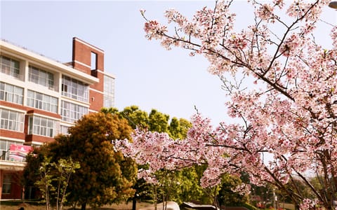 武汉城市学院·教学区之樱
