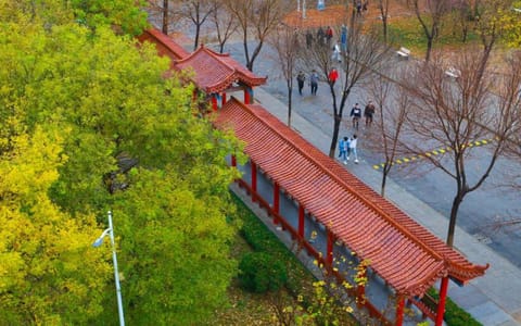 德州学院·校园风光