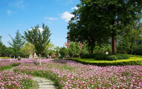 成都中医药大学·成都中医药大学6