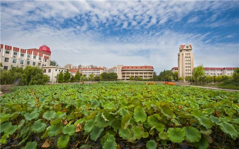烟台大学·校园风光2