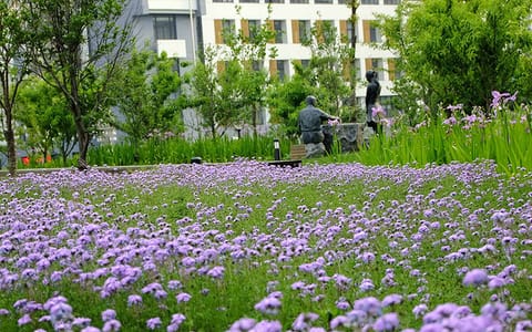 上海电力大学·校园风光1
