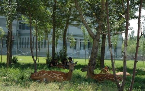 内蒙古科技大学·菁菁校园